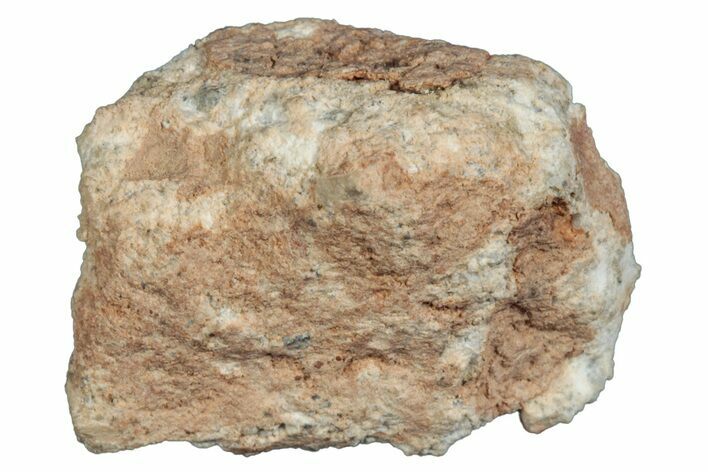 Lunar Meteorite ( g) - Bechar #288499